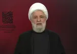شیخ نعیم قاسم: مقاومت لبنان تسلیم اشغالگری نخواهد شد