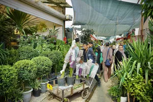 بازار گل محلاتی