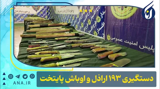 دستگیری 193 نفر از اراذل و اوباش پایتخت
