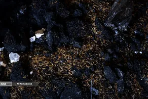 تخریب و آتش سوزی اموال عمومی در تهران