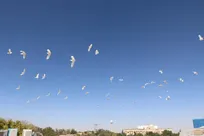 جلوه‌ای متفاوت و زیبا در محوطه دانشگاه آزاد اسلامی همدان+عکس