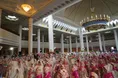 عهد بندگی ۵۰۰ فرشته زمینی با خالق هستی در حرم مطهر شاهچراغ