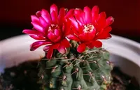 تأثیرپذیری تزکیه از تعامل ظاهر و باطن انسان/ اصلاح درون از ظاهر می‌گذرد