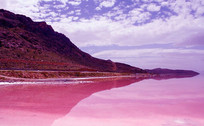 Lipar Wetland: Iran&rsquo;s Stunning Pink Lake Draws Nature Lovers