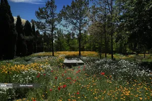 باغ گیاهشناسی ایران