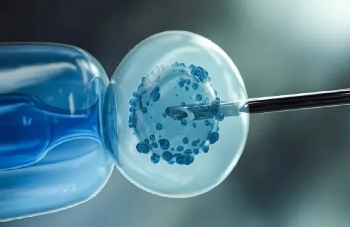 Laser-assisted hatching linked to higher live birth rates