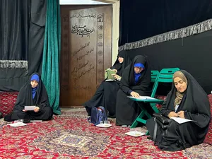 فعالیت خادمیاران و یاوران رضوی منطقه دارالمومنین تهران 