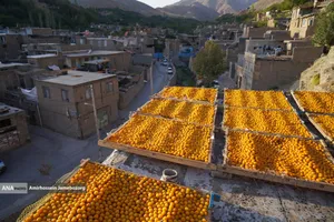 خُرو؛ پایتخت آلوی ایران