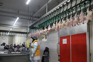 آغاز واردات ریلی مواد اولیه داروی دامپزشکی از چین 