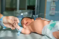 از شماره نظام پزشکی تا بازار کار پرسود؛ هر آنچه دانشجویان باید درباره رشته مامایی بدانند