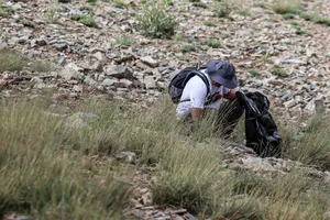پاکداشت طبیعت توچال