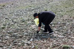 پاکداشت طبیعت توچال