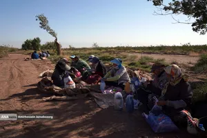 تولید برای محرومیت زدایی - باغ پسته