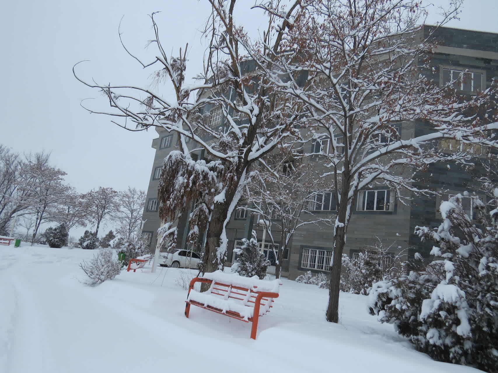 بارش برف زمستانی در واحد بین الملل ماکو؛ کوه آرارات در پوشش سپید