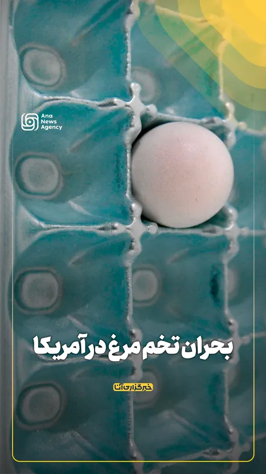 بحران تخم مرغ در آمریکا