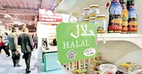 سهم ایران از هدفگذاری ۸ هزار میلیارد دلاری برند حلال در ۲۰۲۵ چقدر است؟ /از برگزاری اکسپو تا گردشگری حلال در ایران