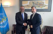 دیدار معاون عراقچی با مدیرکل سازمان بهداشت جهانی