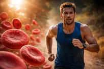 با زیاد دویدن، گلبول‌های قرمزتان را پیر می‌کنید