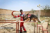 مانور امداد و نجات سگ های زنده‌ یاب هلال احمر