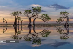 جزیره سومبا، اندونزی