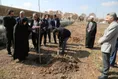 درختکاری در واحد کرمانشاه
