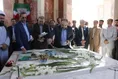 نرماشیری
