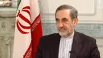 علی اکبر ولایتی: شهادت آیت‌الله خامنه‌ای پایان راه نیست، آغاز فصل جدید در بیداری امت اسلامی است