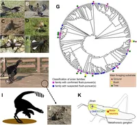 ربات دایناسوری برای شکار حشرات طراحی شد