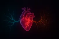 تاثیر ورزش منظم فراتر از قوی‌تر کردن عضلات قلب است