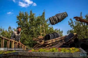 توانمندی اقتصادی برای رفع محرومیت - باغ گلابی