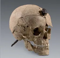 جمجه‌های سوال برانگیز در ایبریا