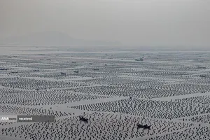 ماهیگیران چینی حین صید ماهی در نزدیکی آب&zwnj;های جزایر ماتسو، تایوان 