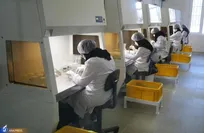 اشتغال دانشجویان کشاورزی در سرای نوآوری کشت‌بافت گیاهی