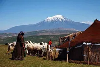 معرفی کامل عشایر (شغل، محل سکونت، علت کوچ، جمعیت و صنایع دستی)