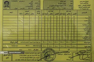 کارنامه شهید نخبه علی خدایاری