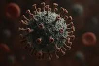 ویروس «نیپا» دستگاه تکثیر سلولی را از کار می‌اندازد