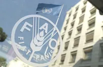 هشدار فائو نسبت به وقوع شوک جهانی در امنیت غذایی در پی تداوم انسداد تنگه هرمز