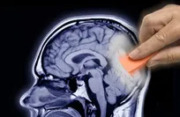 Study links brain activity to memory retrieval