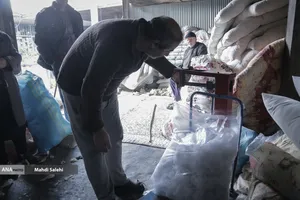 آقا ناصر همیشه دقت زیادی در وزن تحویلی پنبه های تحویلی به مشتری دارد.