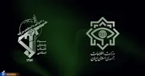 دستگیری ۴۰ نفر از اراذل و اوباش و سارقین مسلح در زاهدان