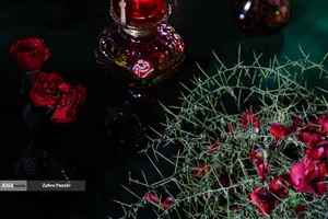 عزاداری شب شهادت حضرت رقیه (س)