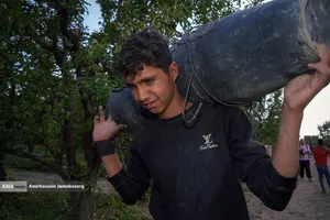 توانمندی اقتصادی برای رفع محرومیت - باغ گلابی