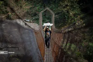 انتقال صندوق رای&zwnj;گیری انتخابات به مناطق صعب العبور در هند