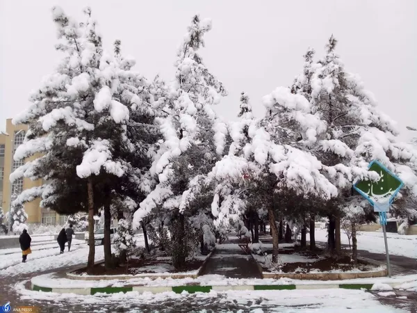 دانشگاه آزاد اسلامی واحد قم در یک روز برفی
