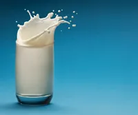 تولید شیر بدون نیاز به پرورش گاو امکان‌پذیر شد!