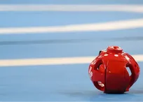 سرپرست فدراسیون تکواندو انتخاب شد