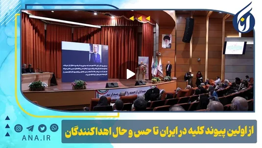 از اولین پیوند کلیه در ایران تا حس و حال اهداکنندگان