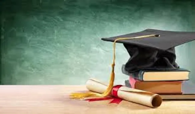 کالبدشکافی یک باور غلط؛ آیا بازار کار از دانشگاه جداست؟