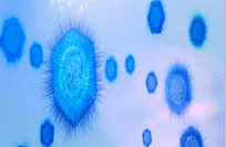 اكتشاف-فيروس-عملاق-جديد-يفتح-آفاقًا-لفهم-أصل-الحياة