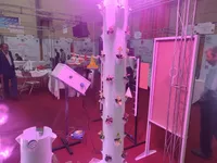 کاهش مصرف آب در کشت عمودی؛ گیاهانی که کمتر از یک‌ماه به بازار مصرف می‌رسند + فیلم